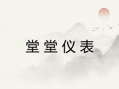 堂堂仪表 堂堂仪表