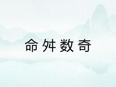 命舛数奇 命舛数奇