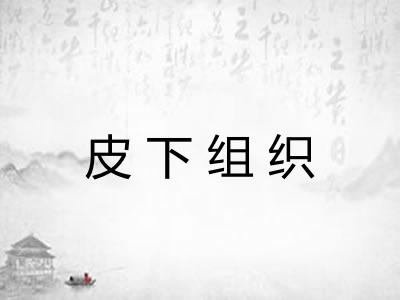皮下组织 皮下组织
